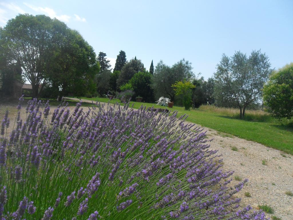 Fullino Nero Rta - Residenza Turistico Alberghiera Siena Exteriör bild